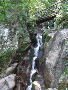gertelsbachschlucht_220.jpg