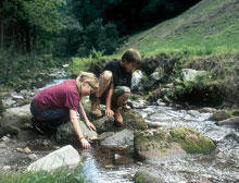 kinder_am_bach_220.jpg